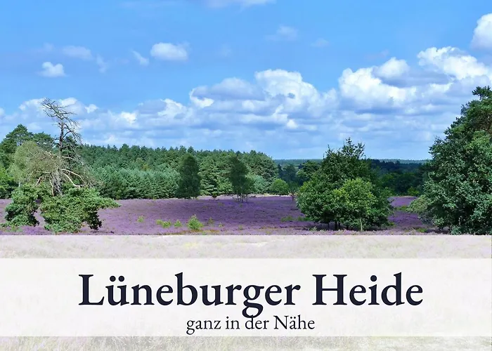Blumenvilla 5 Mit Kueche, Balkon, Sauna Und Garten
